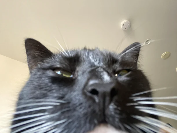 Attached image
